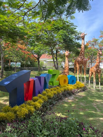 This image depicts the entrance signage of a zoo, likely located in Đông Ninh Hòa, Vietnam. The signage spells out "TINY ZOO" in large, colorful, block letters. The letters are individually colored: "T" is dark blue, "I" is red, "N" is purple, "Y" is green, "Z" is green, "O" is yellow, and the final "O" is light blue. In the background, three giraffe statues are strategically placed, adding to the zoo theme. The statues are life-sized and appear to be made of a durable material.
The environment is lush and green, with abundant trees and foliage. The trees have vibrant green leaves and some are dotted with small red flowers, suggesting a tropical or subtropical climate. The ground is covered in a manicured lawn, with various types of flowering plants and shrubs bordering the signage and the grassy areas. In the middle ground, a building with a reddish-tiled roof is visible, likely part of the zoo's infrastructure. The sky is a clear blue with a few wispy white clouds, indicating a sunny day. The overall impression is a welcoming and attractive entrance to a family-friendly attraction.