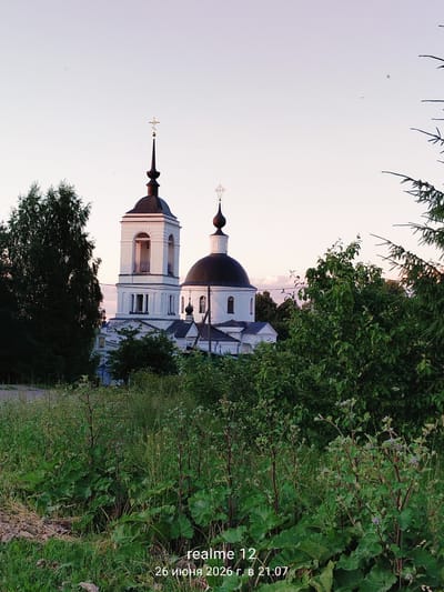 The image shows a view of the Church of the Assumption of the Blessed Virgin Mary in Novoe, Russia, as captured on June 26, 2026, at 21:07. The church, a white structure with a dark dome and a bell tower, is partially obscured by lush green trees and foliage in the foreground and to the sides. The sky is a pale, clear hue, suggesting either dawn or dusk. The scene is dominated by natural elements, with the architecture of the church serving as the central subject. The camera's metadata indicates it was captured with a Realme 12 device.