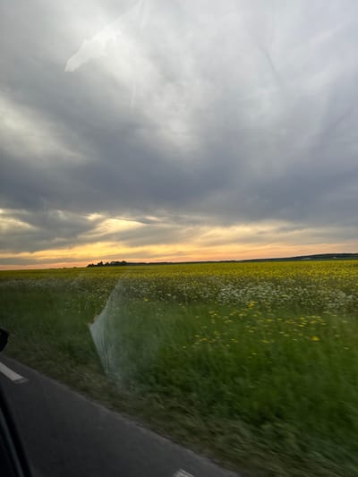 The image shows a view from what appears to be a moving vehicle, possibly a car. The scene includes a field with a mix of yellow and white wildflowers, likely located in a rural area. An irrigation sprinkler is watering the field. A road borders the field on one side. The sky is predominantly cloudy with a sunset or sunrise occurring on the horizon, showing a transition from a darker, cloudy area to a brighter, orange and yellow hue. The location is Gometz-la-Ville, France. No people are visible.