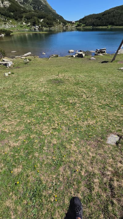 An aerial view from a slightly elevated perspective shows a serene mountain lake with a clear blue sky overhead. The lake is surrounded by lush green hills dotted with evergreen trees and rocky outcrops. In the foreground, a grassy field is speckled with small yellow wildflowers. A person's black athletic shoe is visible in the bottom right corner of the frame, indicating their presence in the scene. The overall impression is one of a tranquil natural landscape.