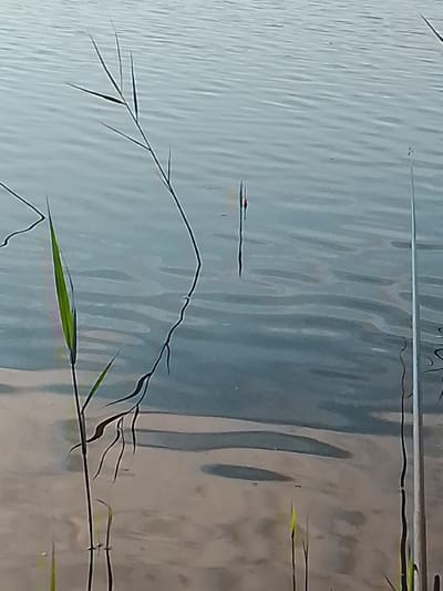 The image depicts a calm body of water with ripples on the surface. Several thin stalks of reeds are visible, some emerging from the water and others submerged. One reed stalk on the left side is vibrant green, while others are darker, appearing dry or partially submerged. In the middle of the frame, a fishing float with red and yellow markings is partially submerged in the water. The water reflects the sky and the surrounding environment, creating a muted, slightly blurred effect. The lighting suggests it is daytime, possibly late afternoon or early morning due to the soft light. The overall scene is serene and natural. The provided location is Свіслацкі сельскі Савет, Belarus.