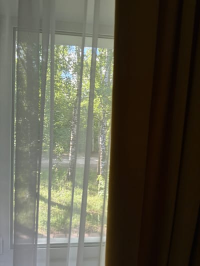 This image captures a view through a window, partially obscured by sheer white curtains on the left and a dark brown curtain on the right. Outside, a sunlit scene of deciduous trees, likely birch trees due to their distinctive white bark with black markings, is visible. The trees are in full foliage, suggesting a spring or summer season. A paved path or road runs through the trees, and the ground is covered in grass. The lighting indicates it is daytime, with sunlight filtering through the leaves, creating dappled shadows. The location is identified as the city of Shikhovo, Russia. There are no people or animals visible in the scene.