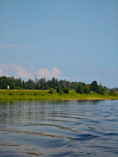 The image depicts a wide river with gentle waves in the foreground. The riverbank on the opposite side is lined with a lush green grassy slope covered in yellow wildflowers. Beyond the grassy slope, a dense forest of various green trees stretches across the horizon, with some taller, bare trees interspersed. The sky is a clear blue with a few scattered white clouds. A white rectangular sign is visible on the left side of the riverbank, partially obscured by trees. The scene appears to be a natural landscape during daylight, likely in the city of Novonazimovo, Russia, given the context. There are no people or animals visible in the image, and no discernable actions or interactions are taking place.