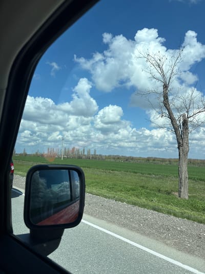 The image depicts a view from inside a vehicle moving along a road. Outside the car window, there is a field with green vegetation, extending to a line of trees in the distance. A bare tree with leafless branches stretches into the sky, which is filled with fluffy white clouds against a blue backdrop. The road has a white line marking the edge. The side mirror of the vehicle is visible, reflecting a portion of the red car itself and the sky. The scene appears to be in a rural area, potentially near Пожарское сельское поселение, Ukraine, given the agricultural landscape and the type of vegetation. There is no evidence of people or immediate actions in the frame, except the movement implied by the road and car.