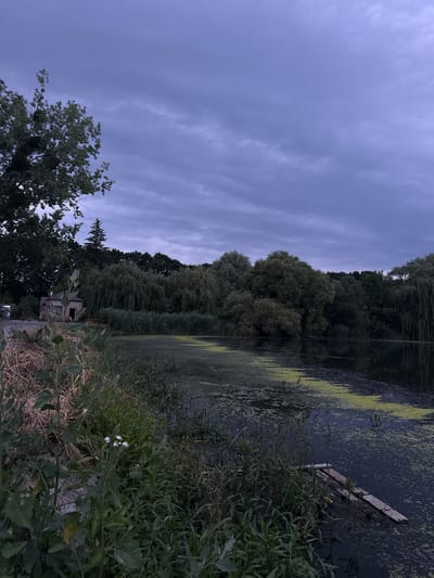 An eerie, overcast twilight scene unfolds by a pond in Zarvantsi, Ukraine. The sky is a deep, bruised purple, with heavy, textured clouds stretching across the frame. To the left, a large tree with dense foliage dominates the foreground, its branches reaching towards the sky. Below the tree, a dilapidated, brick building with a dark opening is visible, appearing abandoned.
The pond itself is partially covered in a thick layer of green algae, giving its surface a mottled, swampy appearance. Tall reeds and grasses line the edge of the pond, creating a natural barrier between the land and the water. A small, makeshift wooden platform or raft, constructed from planks, floats precariously in the water near the foreground, adding a touch of human presence to the otherwise wild landscape. The overall impression is one of quiet desolation and the encroaching darkness of evening.