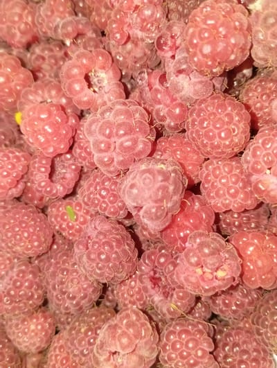 A close-up, overhead shot displays a pile of ripe, pink raspberries. The raspberries are clustered together, filling the frame. Each raspberry is composed of many small drupelets, and some exhibit a slightly fuzzy texture. The lighting creates a soft glow on the berries, highlighting their rounded shapes. The image does not contain any information about a specific location in Рубёжин ауылдық округі, Kazakhstan, nor does it depict any people, actions, or interactions.