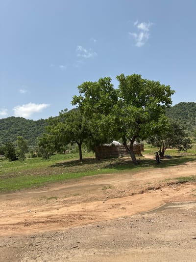 This is an outdoor, eye-level, full shot image taken in Lankoviri, Nigeria. The scene depicts a rural landscape under a clear blue sky with scattered white clouds. In the foreground, a dirt road with loose gravel curves through the frame. The middle ground features a grassy area with a cluster of trees. One large tree with dense green foliage is prominent, with two thatched-roof huts partially visible beneath its branches. A small child is standing near the huts. In the background, rolling hills covered in dense green vegetation rise against the sky. The overall impression is one of a dry, sunny day in a rural African village.