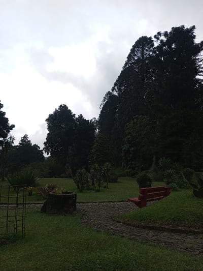The image depicts a park or garden environment in Pachmarhi, India, under an overcast sky. The scene is dominated by dense, tall, dark green coniferous trees lining a distant ridge from the upper right, sloping towards the center-left background. The foreground features manicured green grass interspersed with a winding pathway constructed from dark, irregularly shaped stones. To the right of the pathway, a red wooden park bench with a slatted design is partially visible, facing left. To the left of the pathway, a large, dark tree stump with a hollowed-out top appears to function as a planter, containing small green foliage. Various ornamental shrubs and smaller plants are scattered across the grassy areas. A dark, wire-mesh cage-like structure is partially visible on the grass in the lower-left corner. No individuals or animals are present. The lighting is diffuse, indicative of an overcast day, casting minimal shadows.