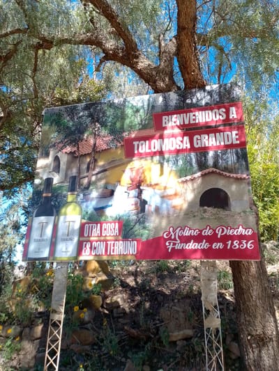 The image shows a roadside advertising sign for "Tolomosca Grande," located in the Municipio Tarija region of Bolivia. The sign is mounted between a large tree trunk and a metal frame. The sign displays imagery including a historic stone mill, two bottles of "Terruño" wine, and text in Spanish: "Bienvenidos a Tolomosca Grande," "Otra Cosa Es Con Terruño," and "Molino de Piedra Fundado en 1836." The environment surrounding the sign includes trees and underbrush.