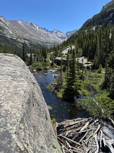 This is a scenic landscape photograph taken outdoors on a clear, sunny day. The image features a body of water, likely a river or stream, flowing through a mountainous and forested area. On the left side of the frame, a large, rough-textured gray boulder dominates the foreground, angled towards the water. The water itself is dark and reflects the surrounding greenery and sky, with some rocks visible beneath its surface.

To the right of the water, a dense forest of evergreen trees extends up the slopes of the mountains. These mountains are rugged and appear to be granite, with some patches of snow visible near their peaks. The sky is a clear, vibrant blue. In the foreground, near the edge of the water and to the right of the boulder, a collection of driftwood and branches has accumulated, forming a natural dam or barrier in the stream.

The environment appears to be a wilderness area, possibly within a national park given the grandeur of the mountains and the untouched nature of the forest. It is difficult to pinpoint an exact location within Estes Park without further information, but the scene is characteristic of the Rocky Mountain National Park region, which surrounds Estes Park, United States. No people or animals are visible in the image.