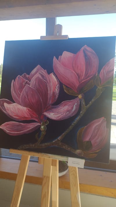 An oil painting of pink magnolias on a dark background is displayed on a wooden easel outdoors. The painting features three fully bloomed magnolias and one bud, with prominent brushstrokes that give the petals a textured, almost fleshy appearance. The dark background contrasts with the vibrant pink of the flowers and the earthy tones of the branches. A small white label is attached to the easel, bearing what appears to be text, possibly indicating the artist's name and the title of the artwork. The easel is set up on what looks like a wooden deck or patio, with a glimpse of green foliage and a bright sky visible in the background, suggesting an outdoor exhibition or event. The location is identified as Tērvete, Latvia, a place known for its nature park and botanical attractions, which could be the setting for this art display.