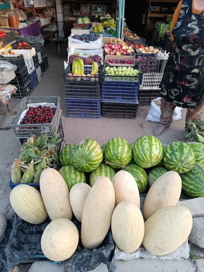 A street market stall in Bökönbaev, Kyrgyzstan, displays a variety of fresh produce. In the foreground, an assortment of ripe melons, including oval-shaped pale yellow varieties and rounder light-colored ones, are arranged on a black plastic sheet. Behind the melons, several large watermelons with striped green rinds are stacked. To the left of the watermelons, bunches of corn on the cob with their husks are visible.
In the mid-ground, a variety of fruits are displayed in plastic crates. On the left, a crate is filled with dark red cherries. To the right of the cherries, two large crates contain bright green apples, and above them are crates of purple plums and red and yellow apples. Further back, more crates hold bunches of bananas and grapes.
In the background, shelves are stocked with various items, including jars, bags, and more crates of produce. A woman wearing a patterned apron and an orange top stands to the right, partially obscured by the produce. The ground is paved with concrete and gravel. The overall impression is of a bustling outdoor market scene.