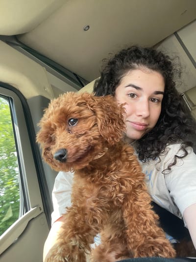 Inside a vehicle in Chelopech, Bulgaria, a young woman with dark, curly hair and brown eyes holds a small, reddish-brown, curly-haired poodle-type dog. The woman, wearing a light-colored t-shirt, looks directly at the viewer with a subtle smile; she has a small mole on her forehead and another above her upper lip. A black seatbelt strap is visible across her chest. The dog, with dark eyes and a black nose, is positioned facing generally forward, but its gaze is slightly directed towards the vehicle's open or partially open left-side window. Blurred green foliage is visible through the window, indicating an outdoor setting, potentially in motion. The vehicle's interior features a light beige headliner with an overhead silver-rimmed light fixture, and dark gray window frames with a lighter beige trim.