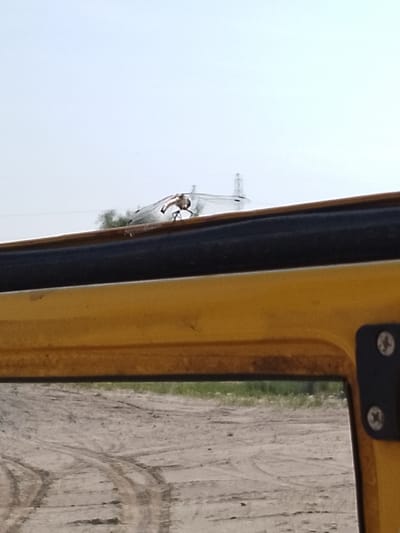 The image captures a close-up view of a yellow vehicle's side, possibly a truck or bus, with a dark rubber trim along the top edge. In the reflection of the side mirror, a sandy, dirt ground with tire tracks is visible, suggesting an outdoor, possibly rural or industrial, setting. In the background, a power line pylon and some distant trees are discernible against a pale, overcast sky. A dragonfly is perched on the dark rubber trim, its wings spread wide, adding a small, natural element to the scene. The overall impression is of an everyday, candid snapshot taken outdoors, with no specific indications of the city of Zenkovo, Russia.
