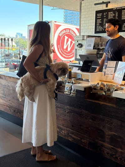 In Edgewater, USA, a woman stands at a counter in a coffee shop, holding a light brown shih tzu dog. The dog is wearing a black harness. The woman wears a white dress and tan sandals. She is looking out a large window. Behind her, a man wearing a dark blue t-shirt serves customers. A menu board is visible behind the man, listing various coffee drinks and prices. A "Kuppi Coffee Company" soft serve machine is to the left of the man. The counter is cluttered with bags of potato chips and other items. The coffee shop features a rustic wooden counter and backsplash. Outside the window, a large red truck with "Woolco Food" on it is visible. The scene appears to be during daylight hours.
