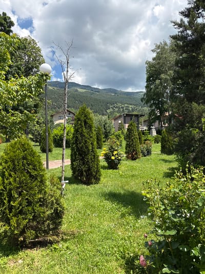 The image depicts a park in Anton, Bulgaria, on a cloudy day. In the foreground, a well-maintained lawn is dotted with various trees and shrubs, including cypress and rose bushes. A white spherical lamp post stands on the left side, and a dry, bare tree stands to its right. In the middle ground, several coniferous trees are strategically placed, and a cluster of yellow flowers adds a splash of color. Behind the garden, residential buildings with tiled roofs are visible, nestled among lush greenery. The background features rolling hills covered in dense forests, with a cloudy sky overhead. The scene is tranquil and suggests a peaceful urban park setting.