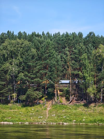 This is a wide shot of a dense forest bordering a calm, green body of water. The forest is primarily composed of tall pine trees, with some deciduous trees interspersed. Sunlight filters through the canopy, creating dappled shadows. A light blue sky stretches across the top of the frame. In the mid-ground, a building with a silver roof is visible amongst the trees, partially obscured by foliage. A dirt path winds its way up the grassy embankment towards the building. The embankment is dotted with rocks and wild vegetation. The water in the foreground has a reflective quality, with ripples indicating a gentle current. The scene depicts a natural landscape, likely a riverside area. This image was taken in Podporozh'e, Russia.
