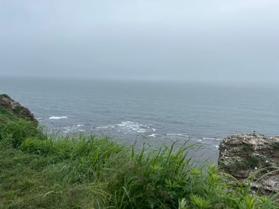 This image depicts a coastal landscape with a dramatic cliff face on the right and a grassy slope on the left, overlooking a gray, choppy ocean under a heavily overcast sky. The ocean stretches to the horizon, which is obscured by fog. On the rocky outcrop on the right, several seagulls are perched and in flight. The cliff is textured with rocks and sparse vegetation. The foreground is dominated by tall, lush green grass. The scene is situated in Tikhoe, Russia, suggesting a rugged, natural environment common to coastal regions. There are no people visible in the image.