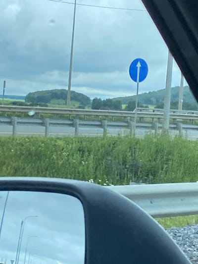In Kliuchiki, Russia, a blue circular road sign with a white arrow pointing upwards is visible against a cloudy sky. The sign is mounted on a metal pole. In the foreground, a portion of a car's side mirror and body is visible. A metal guardrail runs along a road in the middle ground, with a dense growth of green grass and small white wildflowers in front of it. Beyond the guardrail, a road is visible, and further in the distance, a tree-covered hillside under a gray, overcast sky. The scene suggests a highway or a major road, possibly on the outskirts of the city.