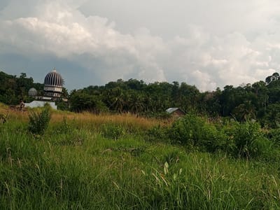 The image presents an outdoor landscape in Seuneubok, Indonesia, under an overcast sky. The foreground features an expansive field of tall, unkempt green grass, with some interspersed patches of golden-brown dry grass and several small green bushes.
In the mid-ground, a lone individual is visible on the left, walking from right to left on a raised path or dirt track. This person is wearing light-colored attire, consisting of a top and trousers. Behind the individual, a portion of a white building is discernible. To the right, partially obscured by the foreground grass and mid-ground trees, is a small, single-story building with a sloped reddish-brown roof.
The background is dominated by a prominent architectural structure, likely a mosque, featuring a large, distinct dome with vertical black and white (or dark blue and white) stripes, topped with a golden finial. The building supporting the main dome is light-colored, displaying visible architectural details and what appear to be arched openings. A smaller, lighter-colored secondary dome is visible to the left and slightly behind the primary dome. This structure is situated on a verdant, densely forested hillside populated by numerous trees, including palm trees. Another similarly forested hill rises on the far right of the frame.
The sky is heavily overcast with large, dense white and grey cumulus clouds, indicating diffused daylight.