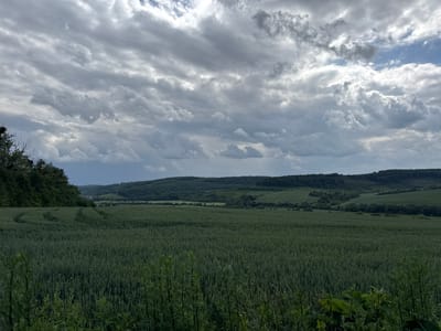 The image captures a vast, green field under a cloudy sky, likely in the city of Kuriany, Ukraine. The field appears to be a crop, possibly wheat or barley, with distinct tractor tracks visible in the middle ground. In the background, rolling hills covered with trees and some scattered fields recede into the distance. A dense line of trees borders the left side of the frame. The sky is filled with dramatic, grey clouds, with patches of lighter sky and a hint of blue visible in the upper right. The overall impression is of a rural landscape on a day with dynamic weather. There are no people or animals visible in the image.