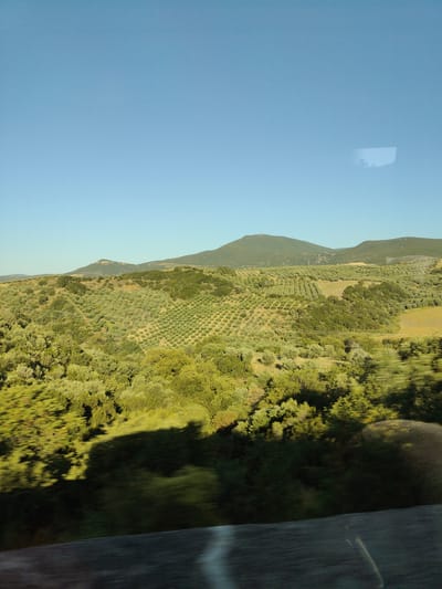 The image depicts a rural landscape with rolling hills covered in olive groves. The sky is clear and blue. In the foreground, there is a shadowy area that appears to be from a reflection on a window, suggesting the photo was taken from a moving vehicle. The olive trees are planted in neat rows on the slopes, indicating agricultural cultivation. The overall scene is peaceful and agricultural, characteristic of the Mediterranean countryside.