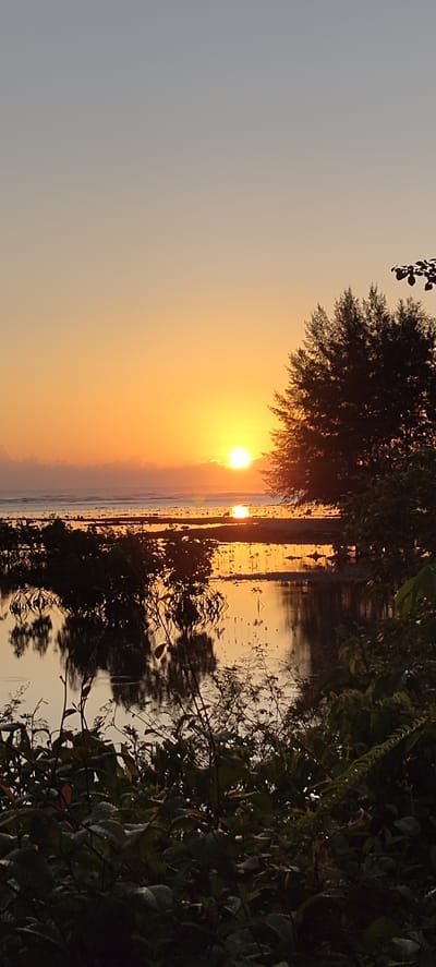 This is a vertical, medium shot captured during a sunrise over a body of water, likely a mangrove area, in Kruengno, Indonesia. The sun is a bright, golden orb positioned slightly left of the center of the frame, casting a warm glow across the scene. It's low on the horizon, with subtle clouds to its left.
The water is calm and reflective, mirroring the sky and the silhouettes of trees and vegetation. In the foreground, dark silhouettes of various plants and branches are visible, some with dew drops. Beyond the foreground, a line of shallow water appears to be a mangrove or tidal area, with exposed roots and plants standing in the water, their reflections prominent. A large evergreen tree is silhouetted on the right side of the image, its branches reaching towards the sky. The ocean or a large body of water stretches to the horizon, with gentle waves visible. The sky transitions from a pale grey at the top to a soft orange as it nears the horizon, indicating the early morning hours. There are no people or animals visible in the frame. The overall atmosphere is tranquil and serene.