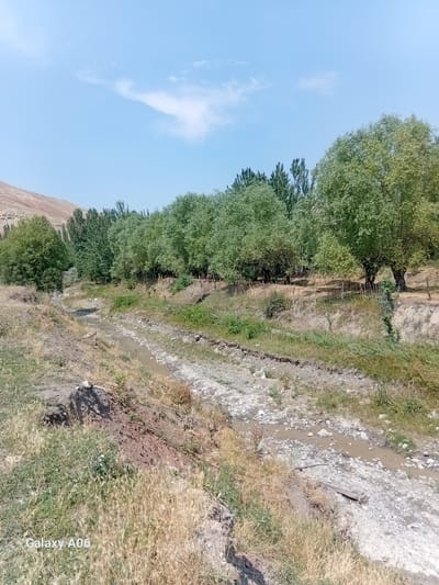 The image depicts a dry, rocky stream bed winding through a landscape of dry grass and sparse vegetation. On the right bank of the stream, there is a gentle slope covered with dry grass and scattered debris, including a wooden stick. Further up the slope, a line of trees with dense green foliage forms a natural boundary. A thin, rudimentary fence constructed from wooden stakes and wire runs along the base of this treeline. In the background, a range of barren, light-brown hills rises against a clear blue sky with a few wispy white clouds. The overall environment suggests a rural or semi-arid setting. The lower left corner of the image displays the text "Galaxy A06".