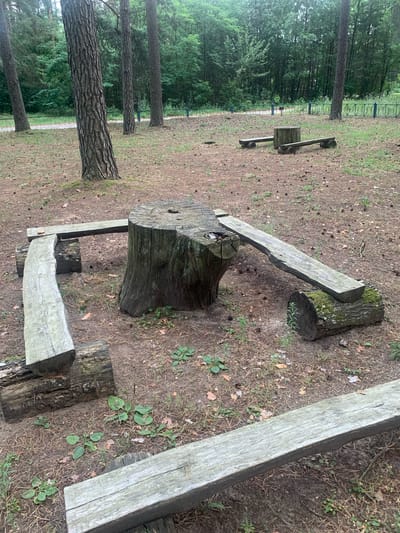 The image depicts an outdoor area in a park setting, likely in a wooded or forested location within Орлеўскі сельскі Савет, Belarus. In the foreground, a large tree stump serves as the central element of an improvised outdoor seating or activity area. Wooden planks are arranged around the stump, supported by other logs, forming benches and a seesaw-like structure. One plank is balanced on the stump and a moss-covered log, while another curved plank is supported by logs on either side of the stump. A long, weathered wooden plank extends horizontally in the lower right portion of the frame, also resting on logs. The ground is covered with pine needles, pinecones, and scattered green vegetation. In the background, several tall pine trees are visible, and beyond them, a dense green forest forms the backdrop. A low metal fence runs along the edge of the wooded area. The overall impression is of a rustic, natural playground or rest area. No people are present in the image.