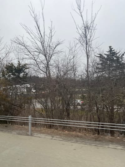 The image depicts an outdoor scene in the Town of Fishkill, United States of America, characterized by a predominantly bare forest edge and an overcast sky. In the immediate foreground, a light-colored, possibly concrete or dirt, surface extends horizontally, bordered by a multi-bar metal guardrail with silver-colored vertical posts. Beyond the guardrail, a narrow strip of dry, brown ground with sparse vegetation is visible.

The midground is dominated by a dense arrangement of deciduous trees with bare branches, many of which appear coated in a thin layer of ice or frost, particularly on their upper extremities. Interspersed among these are darker green coniferous trees, visible on the far left and right. Through the tree line, in the background, a developed area is partially visible. This includes sections of a paved road or highway with multiple vehicles, including a white vehicle with visible red taillights towards the right-center, and other indistinct vehicles further in the distance. Light-colored structures, possibly commercial buildings, are also vaguely discernible through the trees. A white sign with dark lettering, partially obscured by foliage, is visible in the distant right background, displaying the text "WALK AHEAD." The sky is uniformly light gray and overcast. No individuals are visible in the scene.