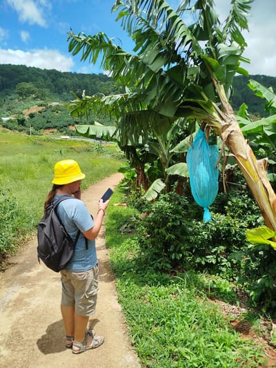 In the city of Xuân Sơn, Vietnam, a person wearing a yellow bucket hat, a blue t-shirt, khaki cargo shorts, and grey sandals stands on a dirt path. They have a black backpack on and are holding a dark-colored smartphone in their right hand. To the right of the path, a banana tree displays a bunch of bananas covered in a bright blue plastic bag. The background features lush green fields, a hillside covered in trees and crops, and a bright blue sky with scattered clouds.
