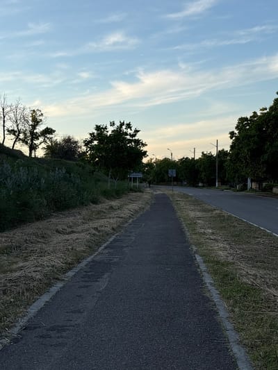 The image displays an outdoor landscape in Varnița, Moldova, featuring parallel paved paths or roads receding into the distance. On the left, a narrower paved surface, likely a pedestrian or bicycle path, is bordered by a concrete curb and a strip of dry, light-brown grass. Adjacent to this, an elevated embankment rises, also covered in dry grass and some green vegetation, with a few trees at its crest.

On the right side of the image, another, wider paved area, possibly a road, runs parallel to the left path. This area is also edged by dry grass. A dense line of green trees extends along the right side of this wider pavement, partially obscuring what appear to be utility poles or streetlights and a small, square signpost with unreadable text. Further left and higher up, several bare-branched trees are silhouetted against the sky.

The sky, visible in the upper portion of the image, is a light blue with scattered, wispy white clouds, characteristic of cirrus formations. The soft, diffuse lighting suggests the time of day is late afternoon or early evening. No people or specific activities are visible, giving the scene a calm and serene atmosphere. No discernible text is visible on any signs or objects.