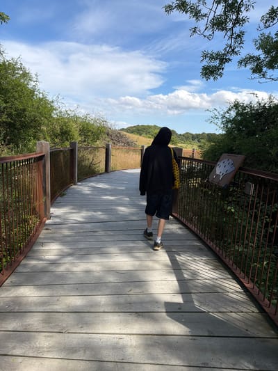 The image shows a person from behind, wearing a black hooded sweatshirt, dark shorts, and sneakers, walking on a wooden boardwalk. They have a yellow bag slung over their shoulder. The boardwalk is surrounded by green foliage and has a rustic metal railing. A sign with an illustration of a spotted creature is attached to the railing. The scene is set outdoors, with a bright blue sky and white clouds visible. The sun casts shadows on the boardwalk, suggesting it is daytime. The overall impression is of a casual stroll through a natural or park-like setting. The location is identified as Lejre, Denmark.