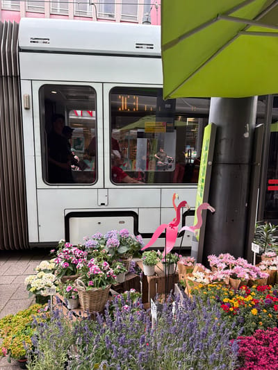 The image captures a street scene in Witten, Germany, likely on a commercial street given the presence of a flower stand and a tram. A white articulated tram is parked alongside a sidewalk, its doors open and passengers visible through the windows. A person is standing in one of the open tram doors. In the foreground, a vibrant flower stand displays a variety of potted plants and bouquets. Lavender, hydrangeas, and other colorful flowers are arranged in wicker baskets and wooden crates. Two pink flamingo garden ornaments stand near the tram. A large green umbrella is partially visible on the right side of the image, suggesting an outdoor seating area or a vendor's stall. A dark gray pillar is positioned behind the flower stand. The building in the background appears to be a multi-story structure with windows.