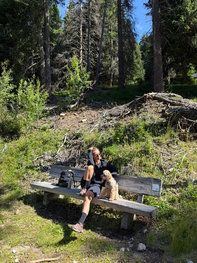 In the city of Mühlbach - Rio di Pusteria, Italy, a woman is sitting on a wooden bench in a forest. The woman is wearing a black zip-up hoodie, black shorts, grey socks, and hiking boots. She has sunglasses on and is holding her hand to her head. A light brown poodle is sitting next to her on the bench. A black backpack and a water bottle are on the bench to her left. The bench is in a clearing surrounded by tall trees and green foliage. The ground is covered in grass, dirt, and fallen branches. The sun is shining, casting shadows on the ground.