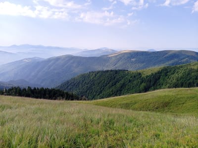 The image depicts a panoramic view of rolling mountains from a grassy meadow. The foreground is dominated by tall, dry grasses, indicating a late summer or early autumn setting. In the mid-ground, a lush green slope leads up to a dense forest of dark green coniferous trees. Beyond the forest, the landscape transforms into a series of undulating mountain ranges that fade into a hazy blue in the distance, suggesting a significant depth of field. The sky above is a pale blue, with scattered white clouds. The scene is devoid of any human presence or man-made structures, presenting a natural, untouched landscape. The location is identified as Kvasy, Ukraine.