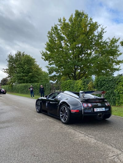 A black Bugatti Veyron convertible, model likely a Grand Sport or Vitesse, is positioned on a damp asphalt road in Dorlisheim, France. The vehicle is oriented with its rear-right side towards the viewer, displaying Swiss license plate ZH-11794 and a circular "5" decal on its lower side panel. It features a prominent rear wing with red detailing on the end plates, quad circular taillights, and a central square exhaust outlet. A silver-colored element is visible on the vehicle's rear spine.

Two adult males are present on the left side of the road, positioned behind the Bugatti. The closer male, dressed in a dark jacket, holds a smartphone, appearing to photograph the vehicle. The second male, further back, wears a light t-shirt and dark pants, and observes the scene. The head and shoulder of a third individual are partially visible in the far left background, near a dark-colored sedan or coupe.

The road is bordered on the left by a continuous line of dense green hedges. Large deciduous trees with green foliage dominate the background and extend into the upper frame. The sky overhead is overcast, indicating a cloudy day.