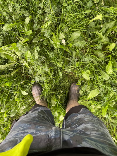 The image shows a ground-level view of grass and weeds in an unkempt area, possibly a yard or field. A person stands in the weeds, wearing brown rubber boots and camouflage pants. A yellow glove is visible near the right side of the frame. The location is stated to be near Grange Court, Ireland.