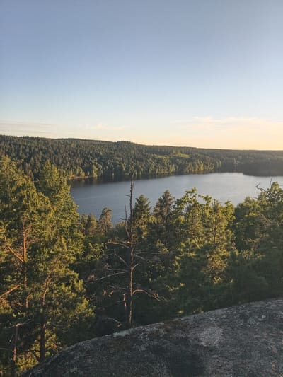 This is a landscape photograph taken from a high vantage point, looking down and across a serene lake surrounded by dense coniferous forest. The scene is bathed in the warm, golden light of either sunrise or sunset, indicated by the soft glow on the horizon and the long shadows cast by the trees. The sky is a clear, pale blue transitioning to a soft yellow-orange near the horizon, suggesting fair weather.
The foreground is dominated by a large, rough-textured granite boulder, likely part of the natural rock formation from which the photo is taken. Several tall pine trees, their needles illuminated by the low sun, grow from the rocky terrain, framing the view. Their branches are intricate, with some dead, bare branches adding a rustic texture against the evergreen foliage.
The middle ground features the calm, dark surface of a lake, reflecting the surrounding trees and sky. The water is still, with only gentle ripples disturbing its surface, contributing to the overall sense of peace and tranquility.
The background is a rolling expanse of dark green forest that stretches as far as the eye can see, creating a deep, textured backdrop to the lake. The trees appear to be primarily pine or similar coniferous species, common in Scandinavian landscapes. The overall impression is one of untouched natural beauty and stillness, evoking a feeling of quiet contemplation and awe.
There is no visible text in the image. The time of day is either early morning or late evening, the weather is clear and pleasant. The location is likely a nature reserve or a natural park in Skriketorp, Sweden, given the characteristic landscape of lakes and forests in the region.