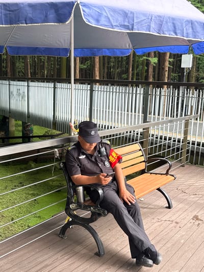 A uniformed security guard, wearing a black cap and dark uniform with a red armband, sits on a wooden bench under a large blue and gray umbrella. The guard is looking down at a smartphone in their hands. A silver thermos is attached to the side of the bench. The bench is situated on a wooden deck. Beyond the deck is a railing and then a body of green, algae-covered water. In the background, a dense forest of tall trees is visible, with a white fence running horizontally across the middle ground. A white box with wires is attached to a pole to the right of the trees. The scene appears to be an outdoor public area, possibly a park or a recreational spot within Lin'an District, China, given the context provided.