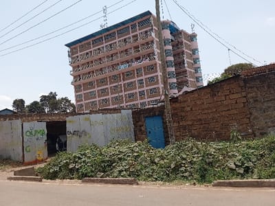 The image presents an outdoor scene in Nkuene ward, Kenya, under a clear, bright sky traversed by multiple overhead power lines. A prominent multi-story building, approximately seven to eight stories tall, occupies the midground. This building features a light pink facade with numerous rectangular windows and balconies adorned with dark metal railings. Decorative pink pillars accent the corners, and a blue roof caps the structure, supporting visible antennas or communication equipment. Items resembling drying laundry are discernible on several balconies.
In the foreground, a paved road with a concrete curb stretches across the bottom of the frame. Immediately behind the curb, a dense accumulation of green, leafy vegetation occupies the central area. To the right, a weathered, reddish-brown stone wall, constructed from irregularly shaped blocks, extends across the frame. A blue metal door is set into this stone wall, partially obscured by the vegetation. To the left, a structure constructed from corrugated metal sheets is visible. This structure features an open entrance, revealing a dark interior where a portion of a white vehicle, likely a car, is present. Green spray-painted graffiti, including the word "OUMA," is visible on the corrugated sheets. Distant green trees are visible on the horizon in the background. No individuals or specific actions are discernible within the frame.