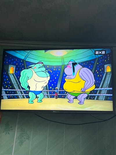 The image shows a television screen displaying a scene from an animated show. Two muscular cartoon characters are in a wrestling ring. The character on the left is green with a yellow tank top and blue briefs. The character on the right is purple with a yellow tank top and green briefs. The background of the ring is dark blue with colorful dots, and there are stairs and arches on either side. A "2x2" logo is visible in the upper right corner of the screen. The television is mounted on a wall covered with green tiled material. The location is not specified in the image or its metadata; therefore, the city of Красное, Russia cannot be confirmed.