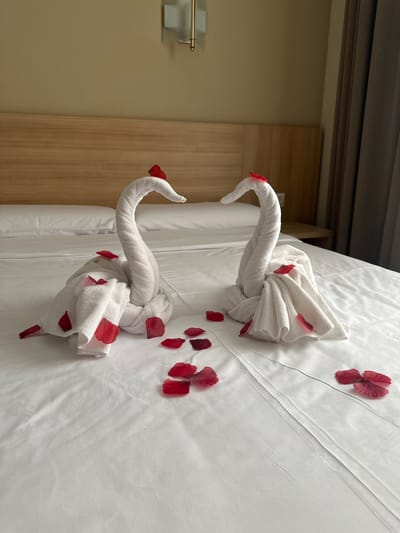 The image shows two white towels folded into the shape of swans, placed on a neatly made white bed. Red rose petals are scattered around the swans and on the bedspread. The swans are positioned facing left, with their necks curved upwards. The scene appears to be a hotel room, likely prepared for a romantic occasion or a special guest. The lighting suggests it could be daytime, with natural light entering from an unseen source. The background shows a closet door with wooden paneling and a wall in a light, neutral color. There is no visible text in the image. The overall impression is one of elegance and a romantic gesture.