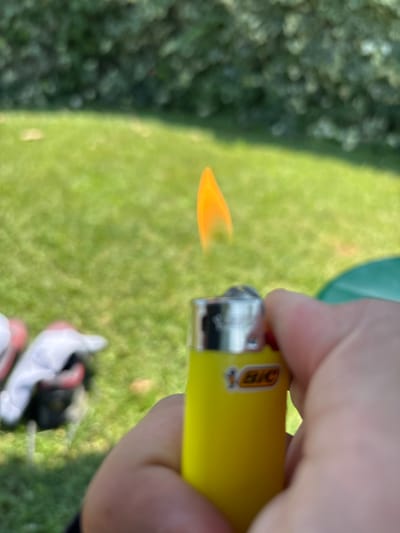 In this close-up, outdoors, eye-level shot, a hand holds a yellow Bic lighter, igniting a small, bright orange flame. The lighter is positioned in the foreground, with the flame extending to the left. The background is a blurry expanse of green grass, suggesting a sunny day in a park or garden. There are also some out-of-focus green bushes on the left side of the frame. On the grass, towards the bottom right, a white shoe with red accents is partially visible, suggesting the presence of another person or that the image was taken from a low angle. The overall impression is casual and informal, capturing a simple action in an everyday setting. The time of day appears to be daytime, as indicated by the bright lighting and the shadows, if any were visible. The weather seems fair. There is no visible text other than the "BIC" logo on the lighter. The image has a slightly overexposed quality, particularly around the flame and the hand. The overall composition is dynamic due to the flame and the blurred background creating a sense of depth.
