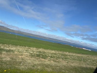 The image depicts a scenic landscape in Borðeyri, Iceland, under a partly cloudy blue sky. The foreground is dominated by a gently sloping, dry, grassy field with scattered small purple wildflowers and a single yellow flower. A rustic wire fence with wooden posts traverses this area.

Further into the scene, a vibrant green, well-maintained field stretches out, meeting a tranquil blue body of water that runs along the horizon. Along the edge of the water, on the green hillside, a cluster of buildings with red roofs and white walls is visible, suggesting a small settlement. The distant hills are hazy and softly colored, blending with the sky. A thin, white contrail streaks diagonally across the upper portion of the sky. The overall impression is one of peaceful rural beauty in an Icelandic coastal setting.