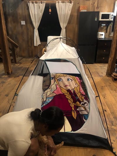 An indoor scene depicts a woman and a dog in a tent, set up on a wooden floor. The tent has a white exterior and a mesh opening, revealing a blanket featuring characters from the movie "Frozen." The woman, wearing a white waffle-knit top, is crouched down, interacting with the light brown dog. In the background, wooden walls and white curtains are visible. To the right, a black refrigerator and a white microwave are positioned against a wooden wall. The overall environment suggests a rustic indoor setting, possibly in a cabin or a house with wooden interiors. The image does not provide specific information about the city of Thôn 4, Vietnam.