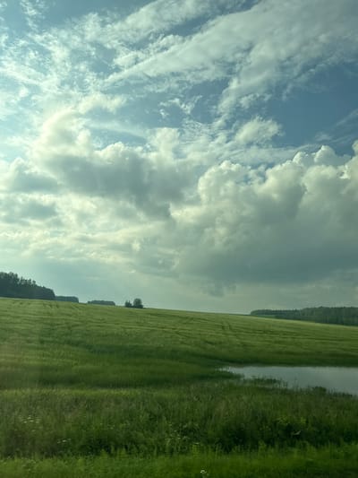 This is a photograph taken from a moving vehicle, likely a train or car, in the vicinity of Речкалова, Russia. The scene depicts a vast, rolling green field that appears to be a crop of some sort, possibly wheat or barley, with visible patterns from agricultural machinery. The field slopes upwards and towards the left of the frame. In the foreground, to the right, a small body of water is visible, reflecting the sky. The background features a dense line of trees forming a dark green horizon. Above the landscape, a dramatic sky is filled with a mixture of bright white, cumulus clouds and lighter, wispy cirrus clouds against a pale blue sky. The lighting suggests it is daytime, with the sun partially obscured by clouds, creating areas of both bright illumination and shadow. There are no people or animals visible in the image.