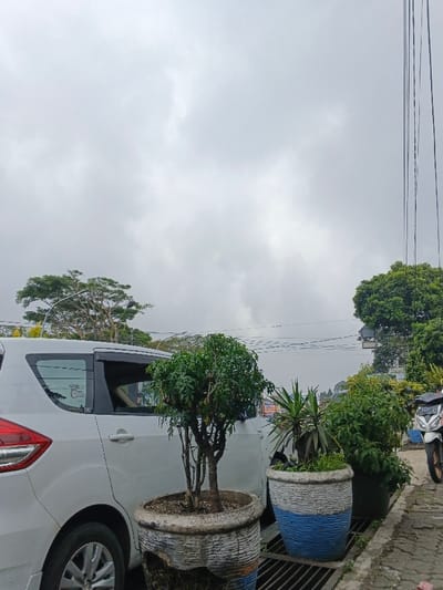 This image depicts an urban street scene in the city of Bien Hoa, Vietnam, under an overcast sky.
In the foreground, a significant portion of a white multi-purpose vehicle (MPV) or SUV is parked on the left, with its rear left side visible, facing away from the viewer. Adjacent to the vehicle, on what appears to be a sidewalk or paved area, are several potted plants. The closest planter is a large, weathered, textured concrete pot, partially damaged at its base, containing a small tree with green foliage. To its right, another similarly textured concrete planter, painted with blue and white sections, holds a yucca-like plant and smaller greenery. These planters rest on or near a metal drainage grate.
Further to the right, the front wheel and part of the bodywork of a dark-colored scooter or motorcycle are visible, indicating another parked vehicle. The background features abundant green foliage from various trees, suggesting a lush, tropical environment. Numerous black overhead power lines and utility poles traverse the upper mid-ground of the image. A street light fixture is partially visible above the white vehicle. The distant background shows faint outlines of structures or buildings through the trees and atmospheric haze. No individuals are visible in the scene, and no specific actions or interactions are occurring.
