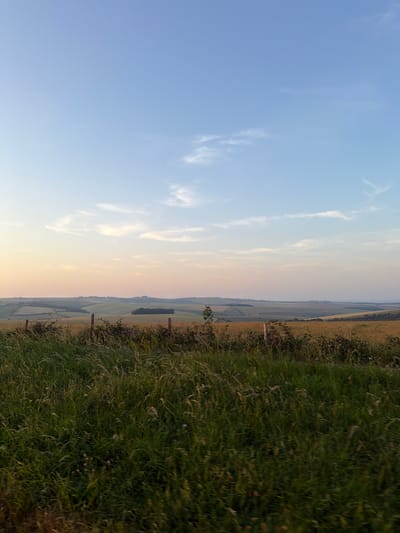 The image depicts a rural landscape at dusk, likely in the vicinity of Lewes, United Kingdom. The foreground is dominated by lush, green grass, partially blurred, suggesting movement or a shallow depth of field. A wire fence with wooden posts runs horizontally across the mid-ground, separating the grassy area from cultivated fields beyond. These fields are characterized by rolling hills and various shades of green and gold, indicating different crops or stages of growth. A cluster of trees is visible in the distance, nestled within a valley. The sky above is a gradient of soft blue at the top, transitioning to a pale orange and pink near the horizon, with a few wispy clouds scattered across it. The overall impression is one of a tranquil countryside scene during the golden hour.