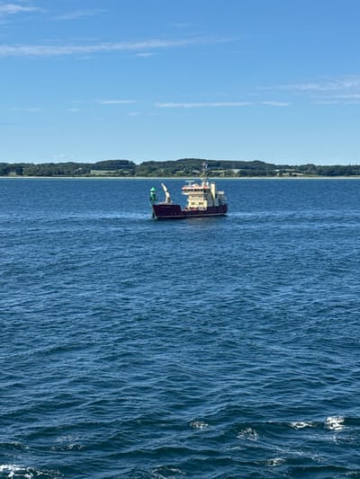A cargo ship with a maroon hull and a white superstructure is sailing on a body of water. The ship has a crane on its deck and a green buoy is visible on the crane. In the background, a lush green coastline with trees and a few buildings can be seen under a clear blue sky with scattered white clouds. The water is choppy with whitecaps. The scene appears to be a sunny day.
